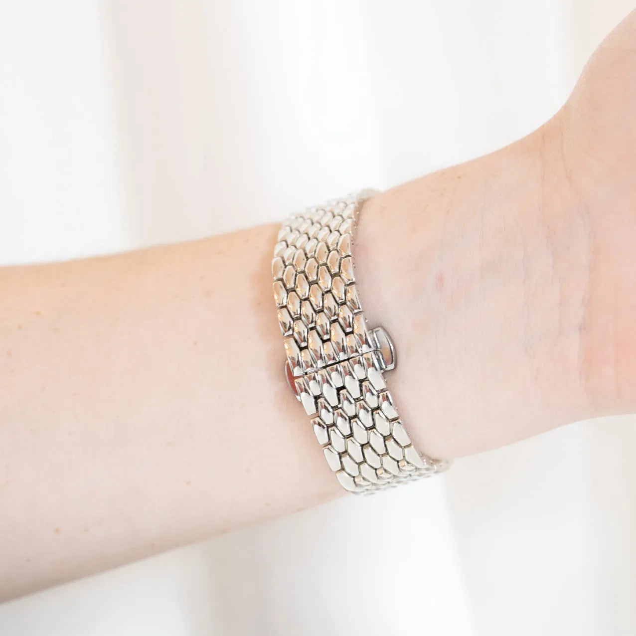 dragon zilver (3)