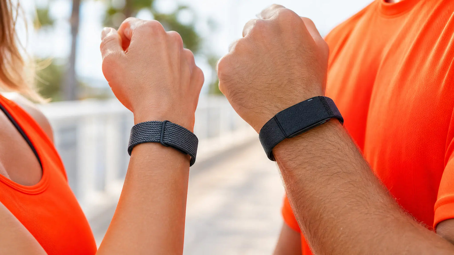 garmin cirqa vs fitbit air