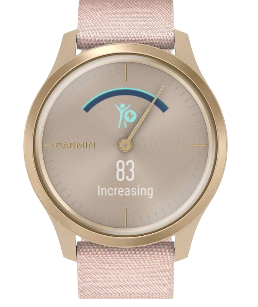 Garmin Vivomove Style straps
