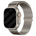 Apple Watch Modern Milanese band (titanium)