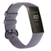 Fitbit Charge 4 silicone band (blauwgrijs)