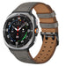 Samsung Galaxy Watch Ultra 2 Double Pin Leather Strap (Grey)