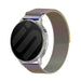 Garmin Forerunner 170 Milanese Strap (Rainbow)