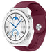 Huawei Watch GT 3 Pro 43mm sport bandje (bordeaux)