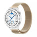 Huawei Watch GT 3 Pro 43mm Milanese band (champagne)