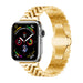 Apple Watch Ultra Steel Strap Jubilee (Gold)