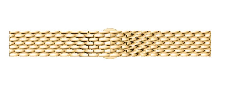 Coros Apex 2 stalen draak bandje (goud)