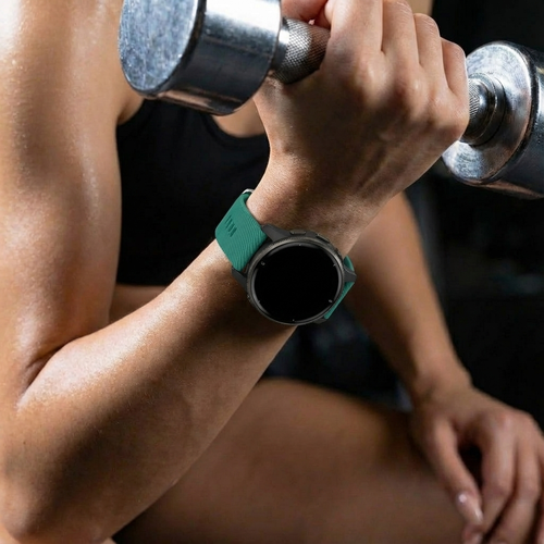 Garmin Venu 2 Silicone Strap (Viridian)