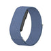 Garmin Cirqa Nylon Strap (Blue)