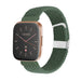 Fitbit Versa / Versa 2 Braided Strap (Green)