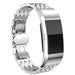 Fitbit Charge 4 stalen draak bandje (zilver)