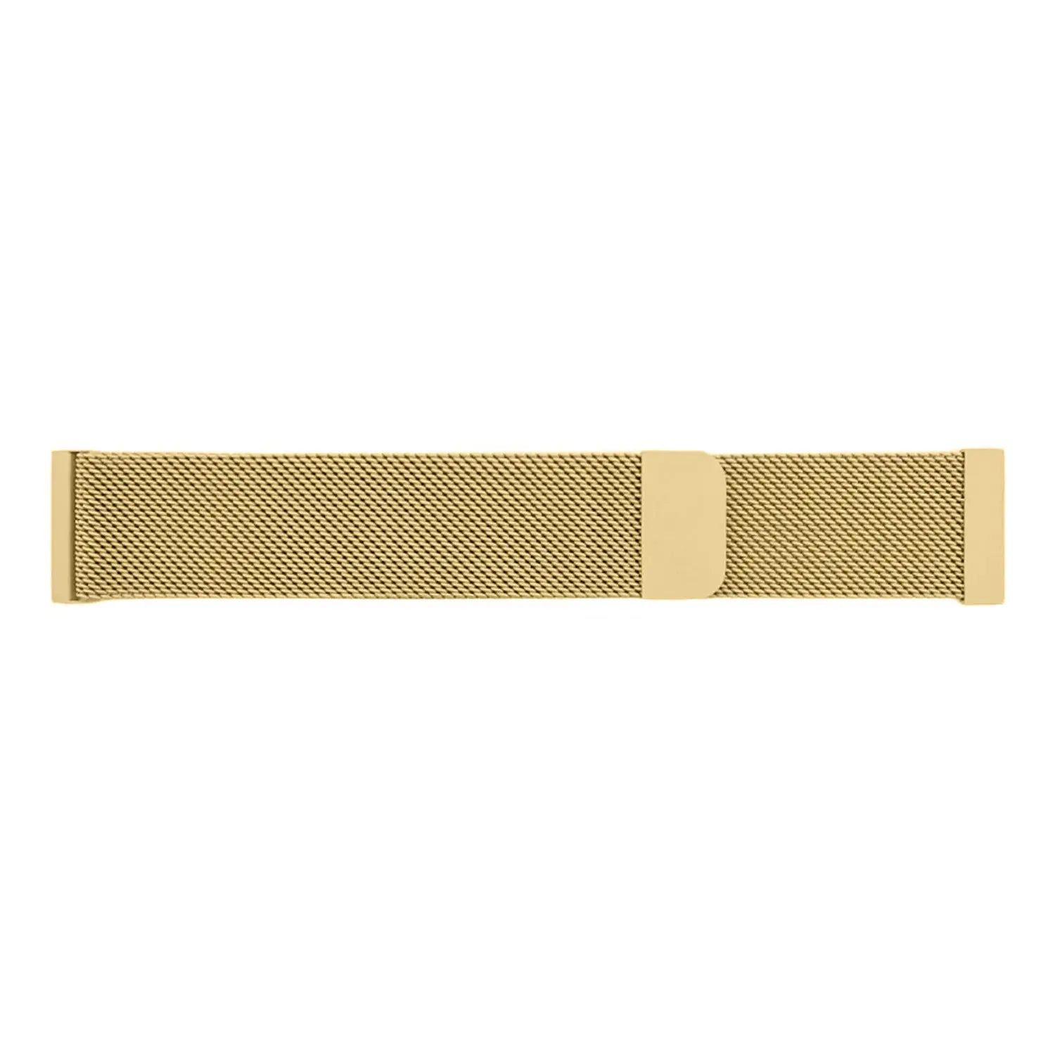 Garmin Forerunner 70 Milanese Strap (Gold)
